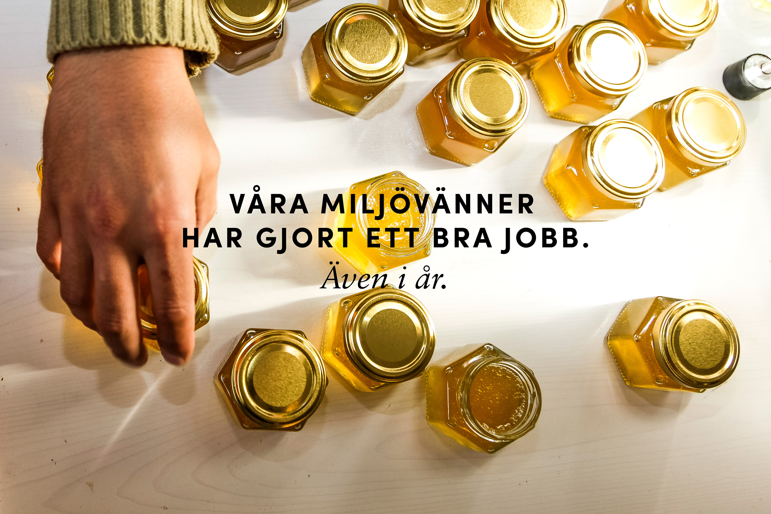 Våra miljövänner har gjort ett bra jobb. Även i år.